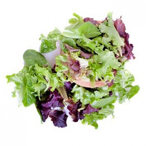 Salad - Mesclun